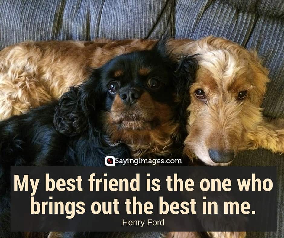 quotes on best friends