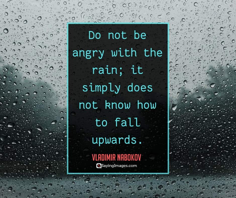 22 Rain Quotes To Shower You With Inspiration Sayingimages Com