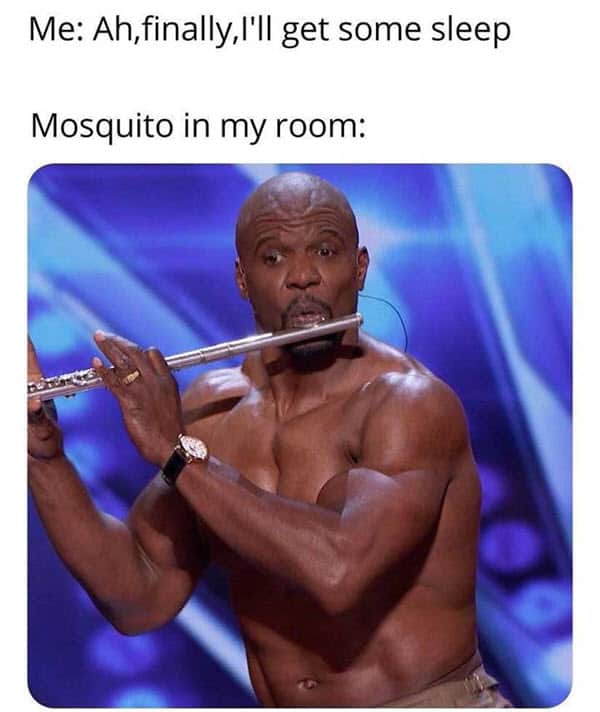 really funny mosquito memes
