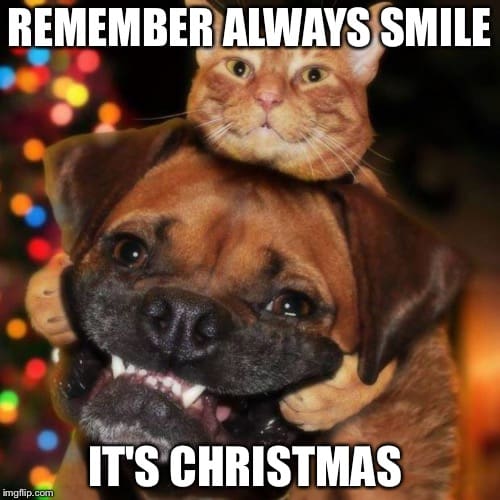 cute christmas memes