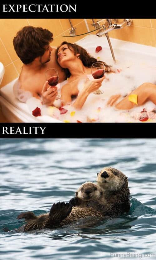 memes románticos de expectativa vs realidad