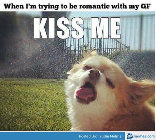 romántico kiss me memes