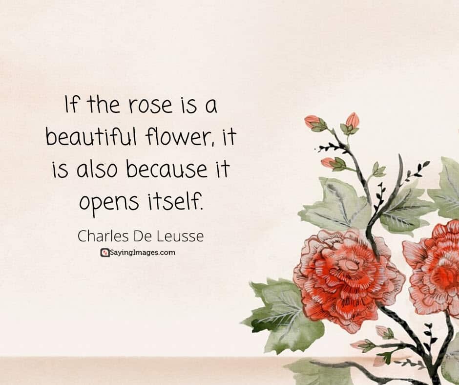 roses flower quotes