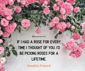 35 Amusing Roses Quotes That Celebrate Life's Beauty - SayingImages.com