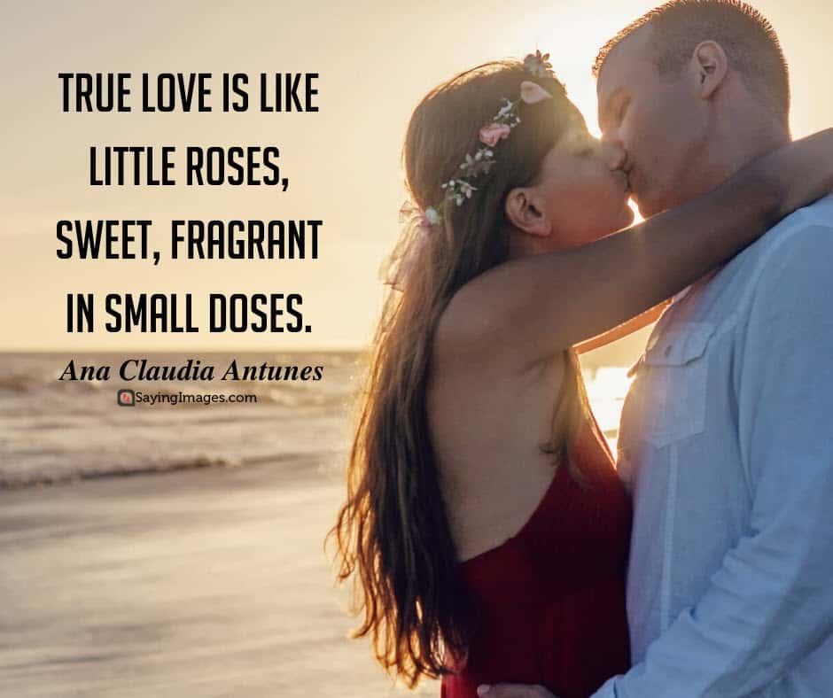 roses love quotes