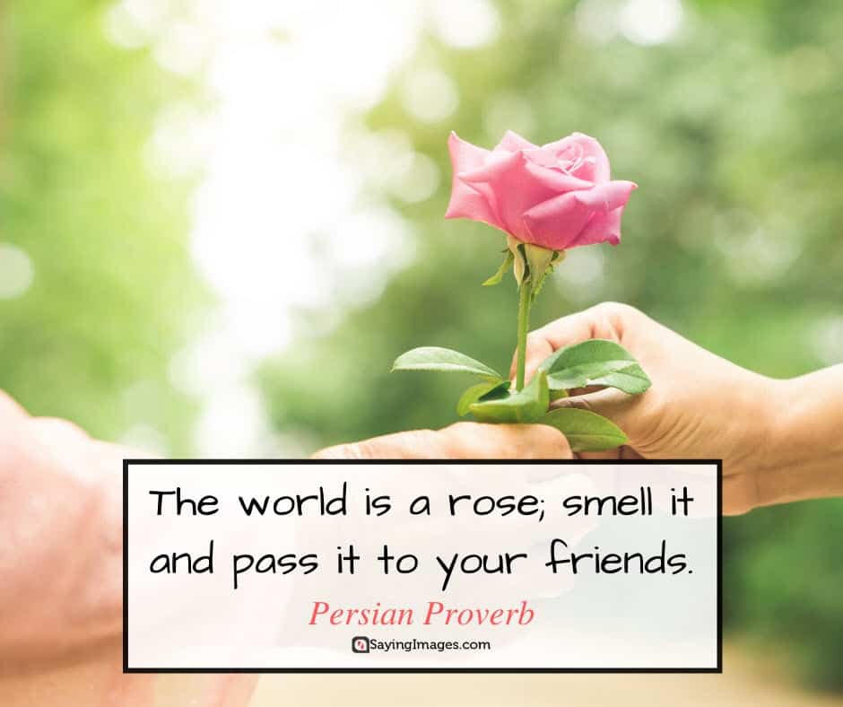 roses world quotes