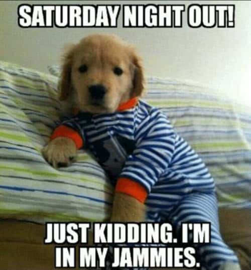 saturday night out meme