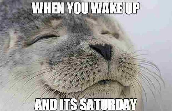 saturday when you wake up meme