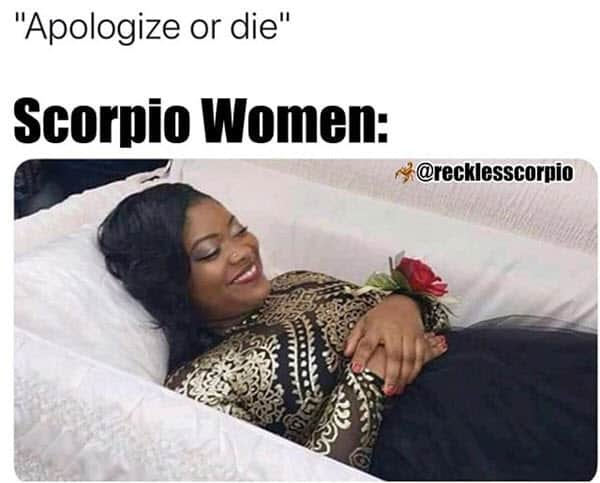 scorpio apologize or die memes