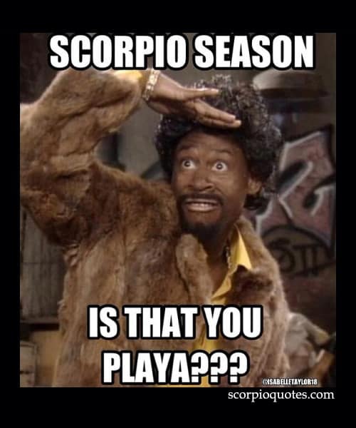 30 Best Scorpio Memes - Astrology Special - SayingImages.com