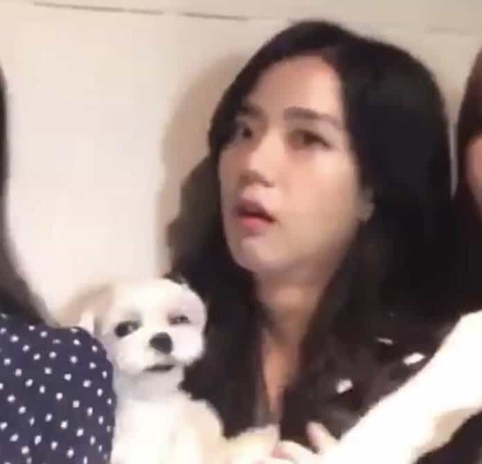 shocked with dog jisoo meme