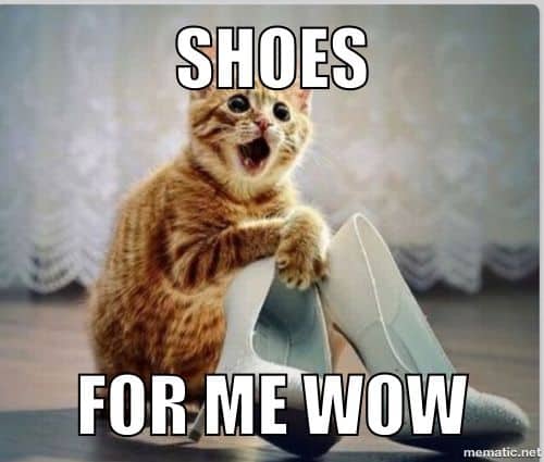 Cute Cat Memes That Will Put You In A Good Mood Sayingimages Com