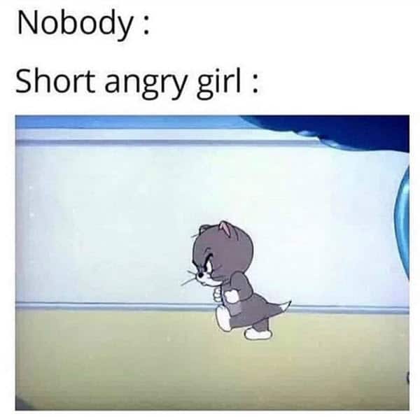 short angry girl memes