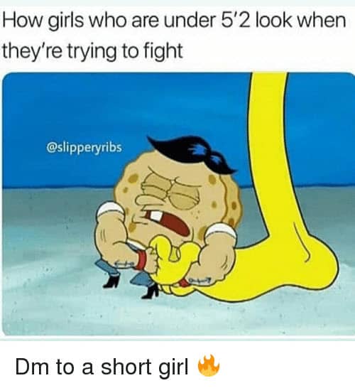 short girl trying to fight memes