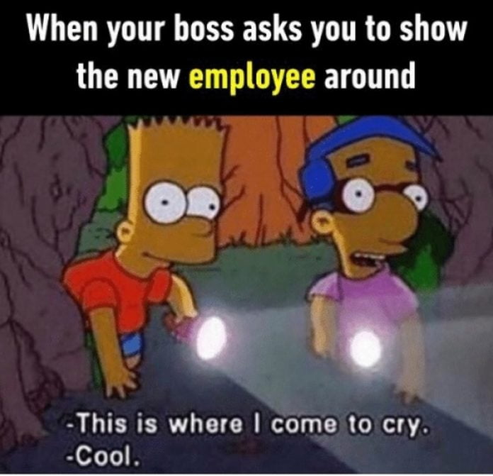 17 Bittersweet New Employee Memes For Office Use - SayingImages.com