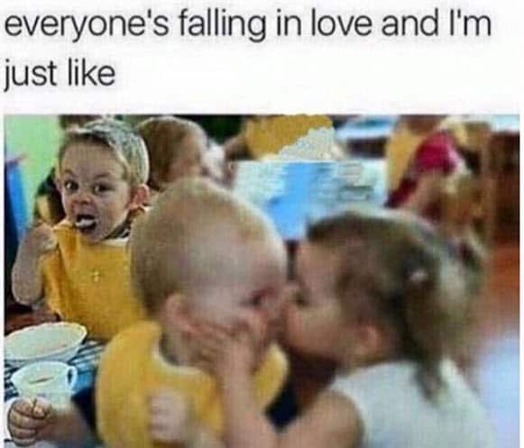 single everyone falling in love meme