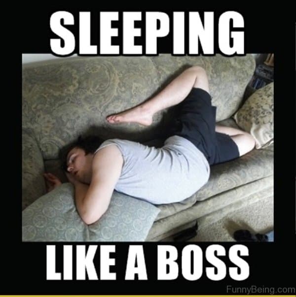 25 Best Sleepy Memes SayingImages