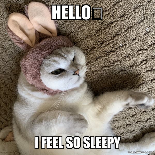 sleepy hello meme