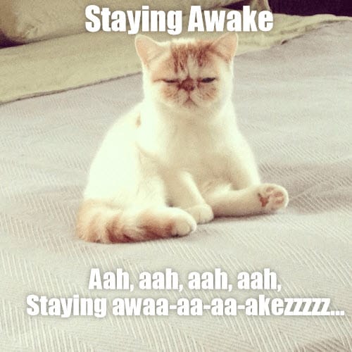 sleepy staying awake meme