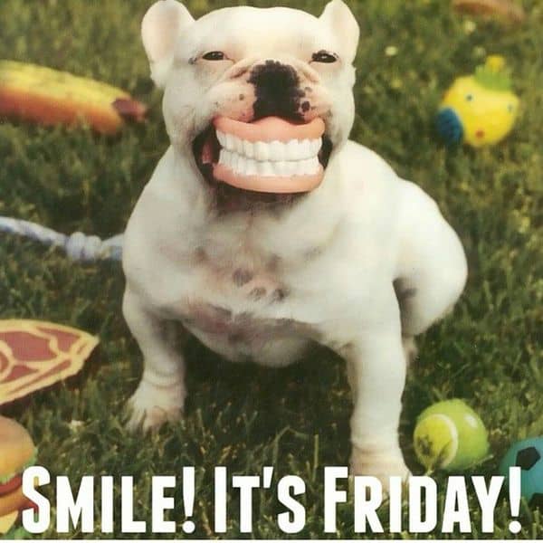 20 Happy Memes That Scream "It's Friday!" [Volume 1 ...