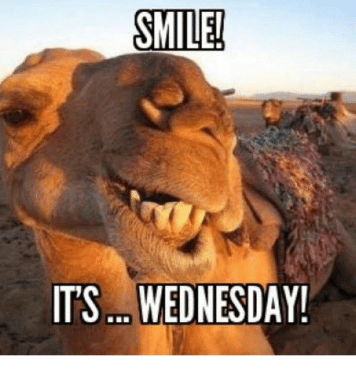 Wed Work Funny 45 Hump Day Memes To Get You Through The Rest Of The Week Inspirationfeed