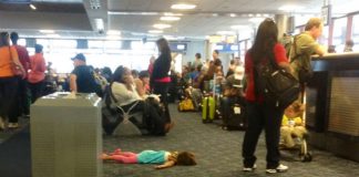 15 Vegas Memes You Should See If You Want A Good Laugh vegas meme