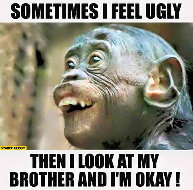 funny monkey memes