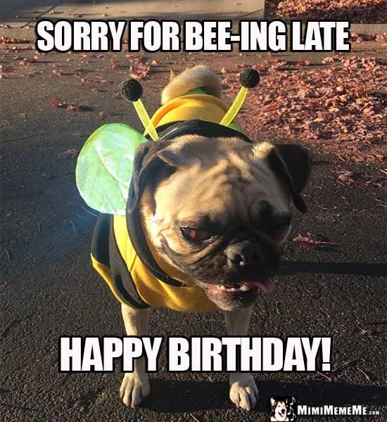 35 Best Happy Belated Birthday Memes - SayingImages.com