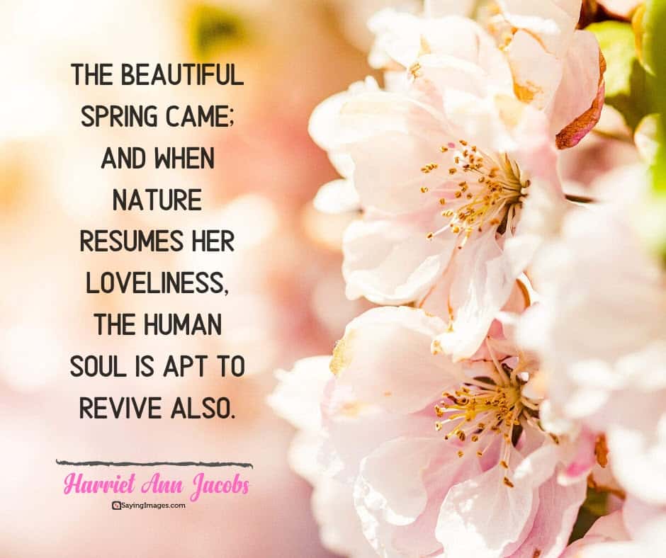 30 Spring Quotes to Make Your Heart Blossom - SayingImages.com