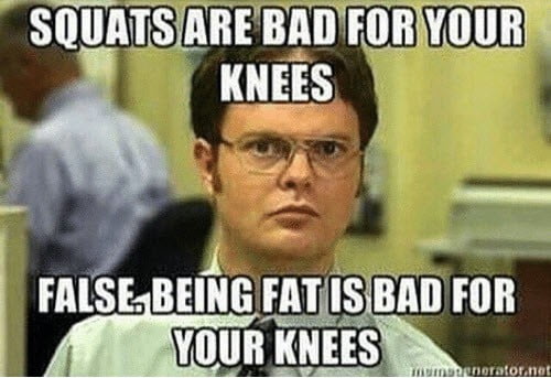 squat false meme