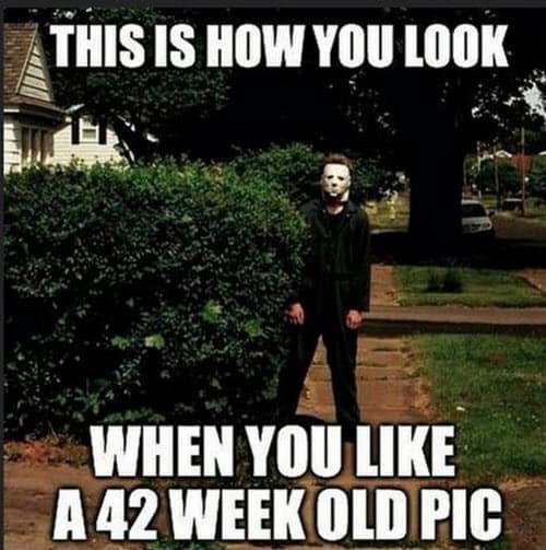 funny memes about stalkers