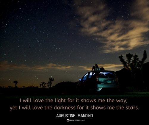 34 Star Quotes on Twinkling Lights and Joyful Dreams | SayingImages.com