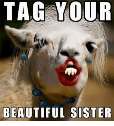 30 Totally Funny Sister Memes We Can All Relate To - SayingImages.com
