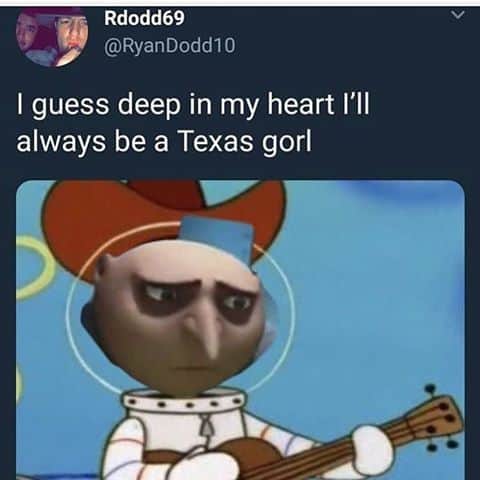 texas gru meme