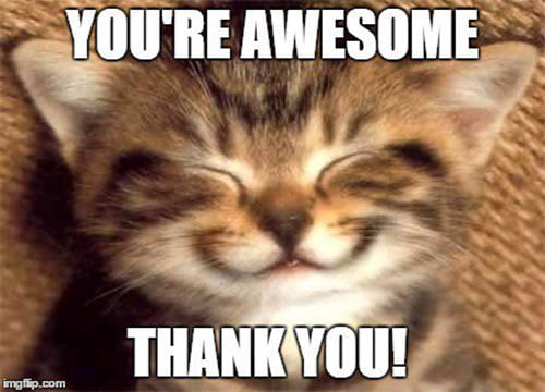 thank you youre awesome memes