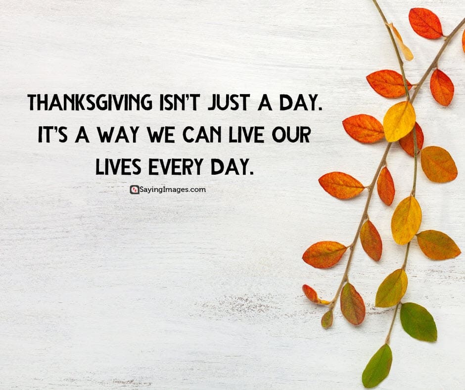 thanksgiving day quotes