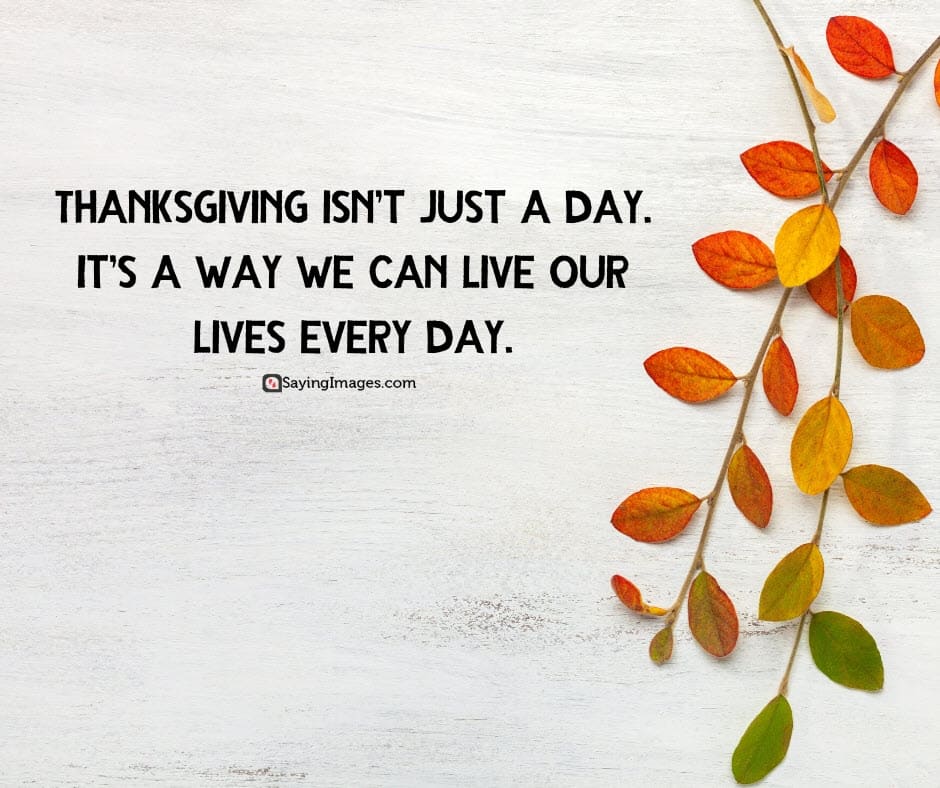 30 Inspiring Happy Thanksgiving Quotes for Family and Friends