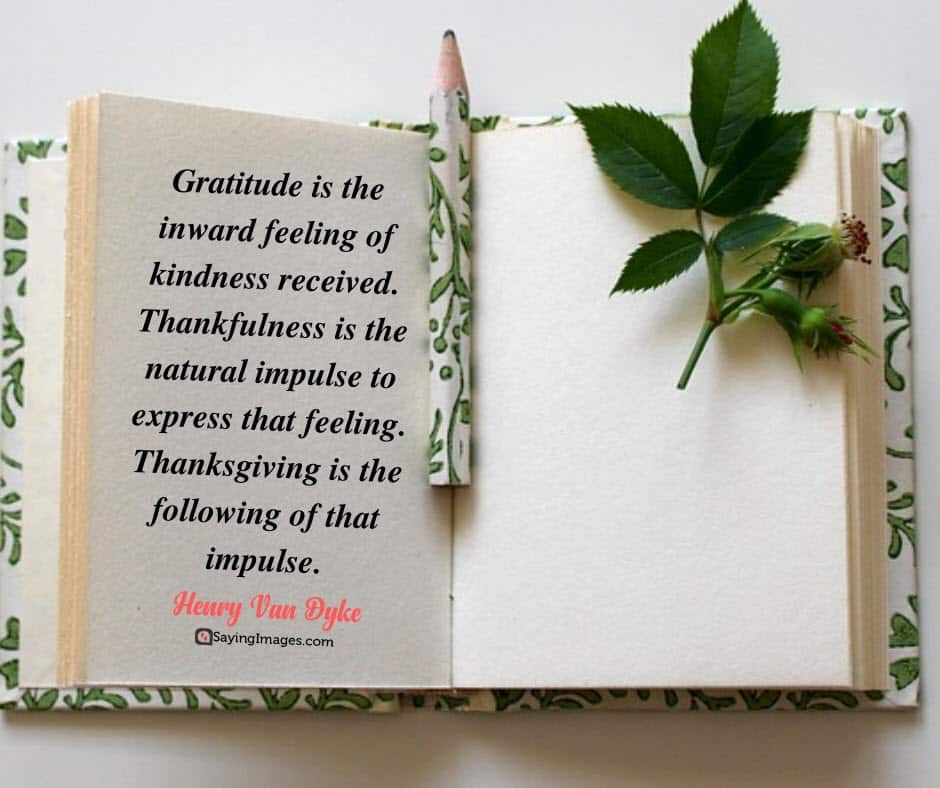 thanksgiving gratitude quotes