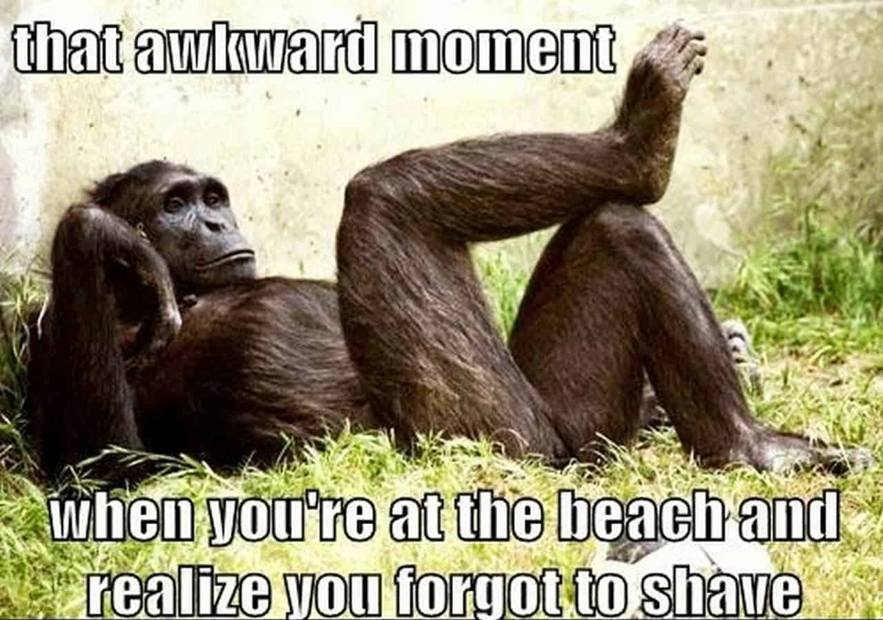 that-awkward-moment-beach-meme.jpg