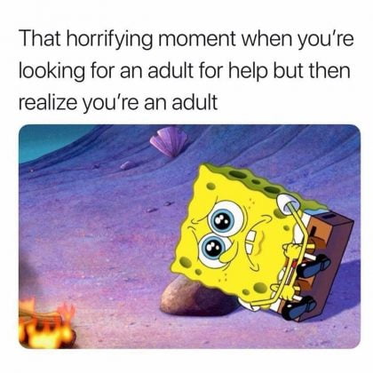 25 Funny Adulting Memes For Panicking Grown Ups - SayingImages.com