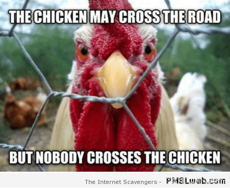 20 Chicken Memes That Are Surprisingly Funny | SayingImages.com