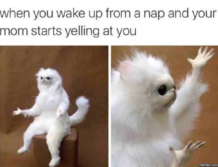 Wake Up Memes That Ll Turn Your Day Around Sayingimages Com