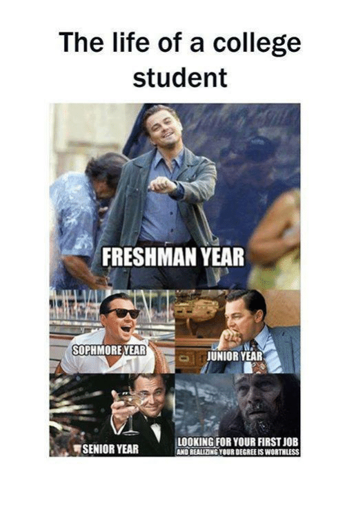 College Freshman Meme