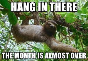 20 Hang In There Meme To Motivate You - SayingImages.com