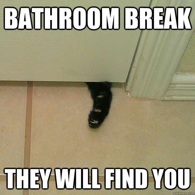 20 Hilarious Bathroom Memes That Are Awkwardly True Sayingimages Com