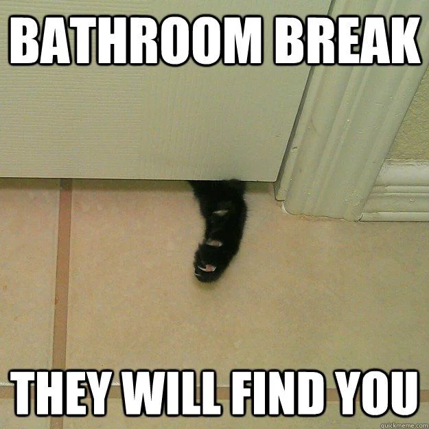 20 Hilarious Bathroom Memes That Are Awkwardly True 3183