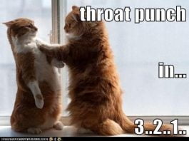 30 Throat Punch Memes That'll Hit Your Haters Hard - SayingImages.com
