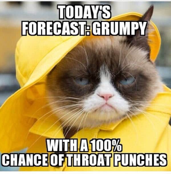 throat punch todays forecast meme