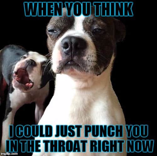 throat punch when you think meme