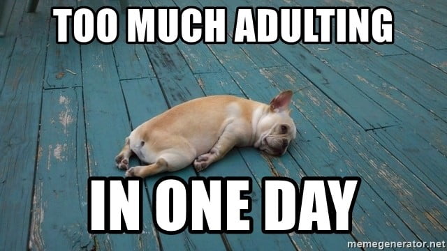 25 Funny Adulting Memes For Panicking Grown Ups - SayingImages.com